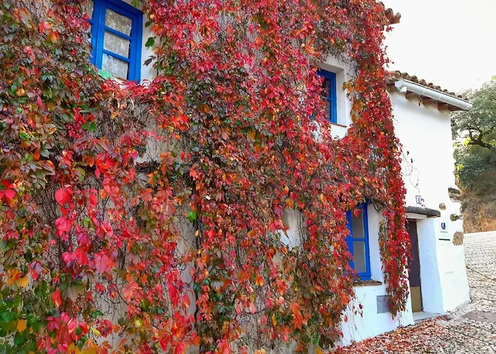 Casita Collado 1