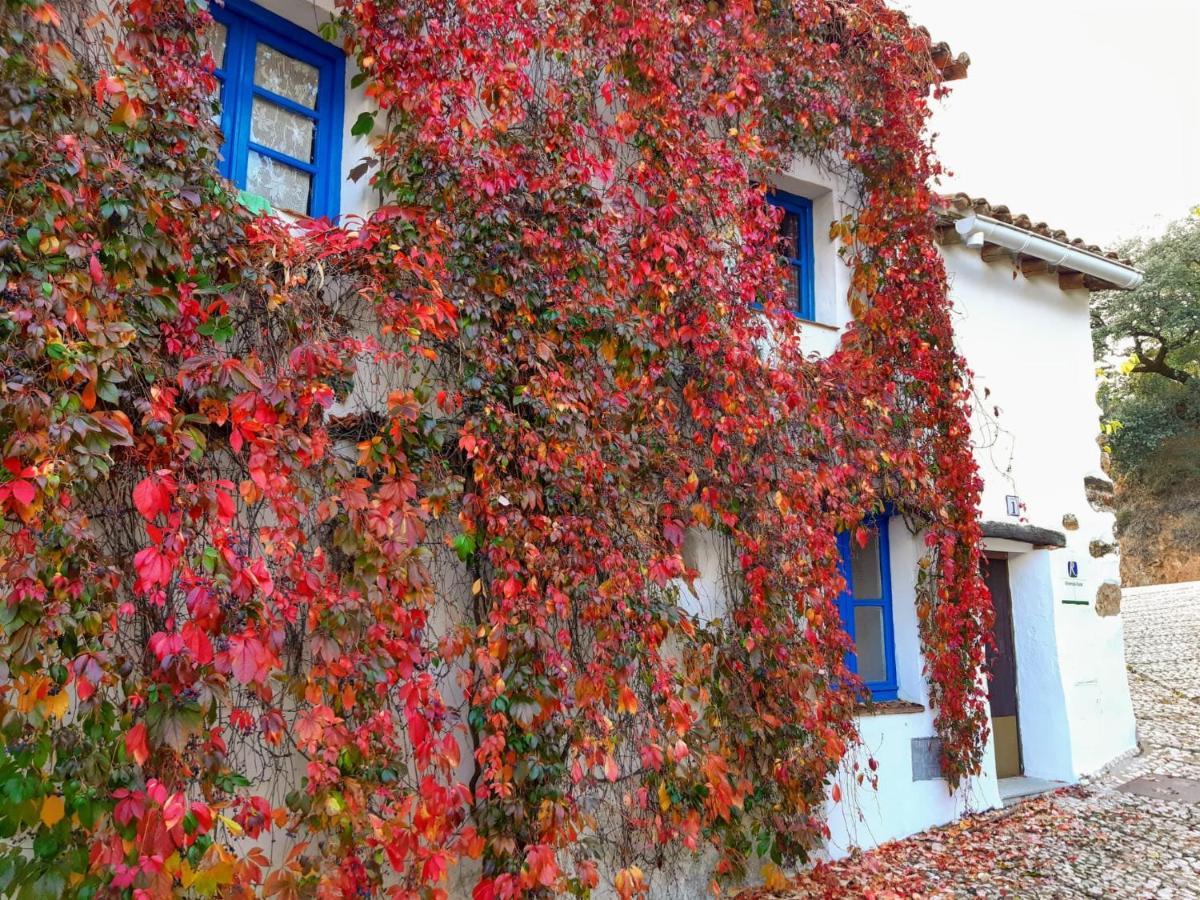 Casita Collado 1 Holiday home